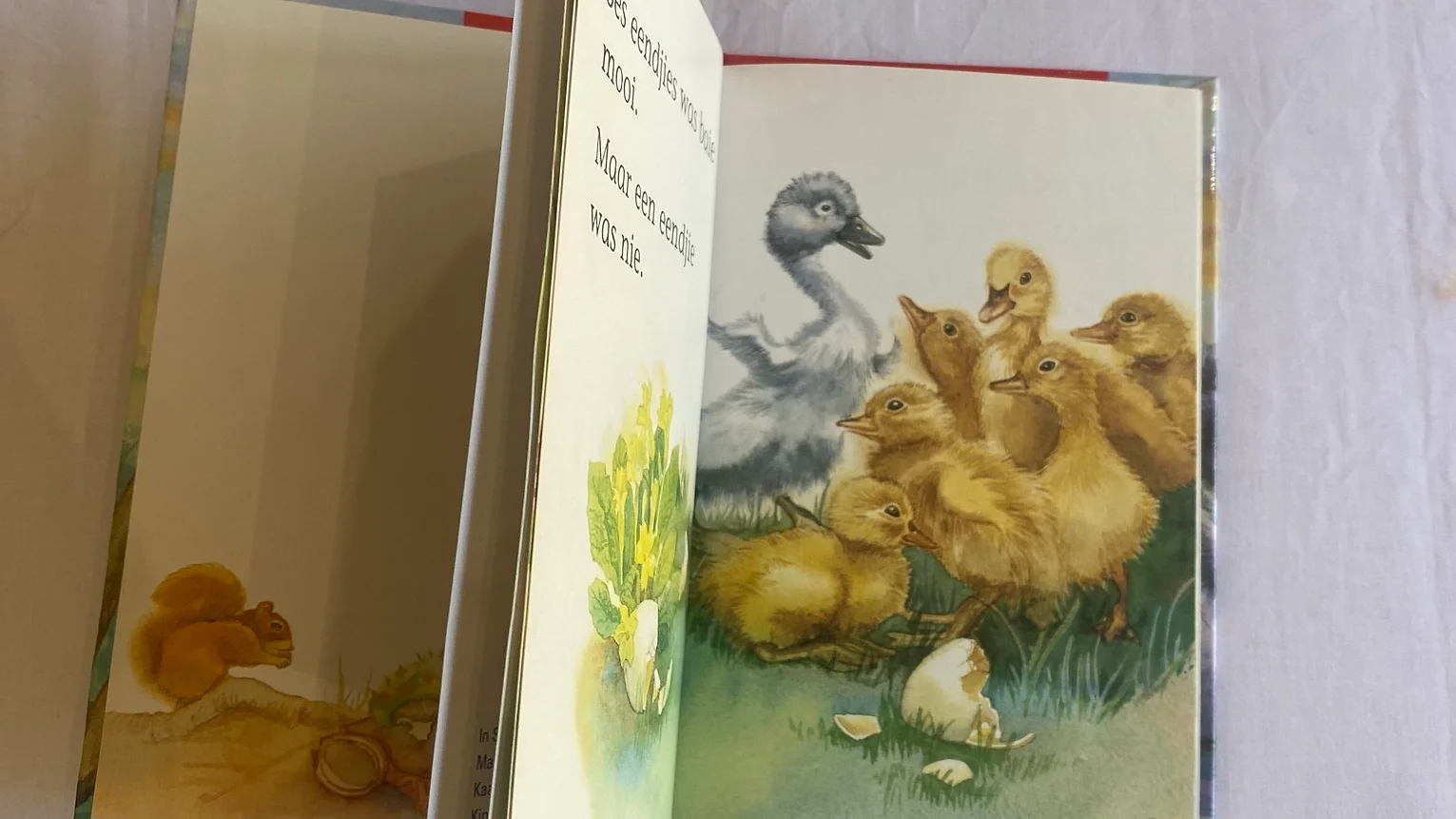 a book open to the pages of a book
