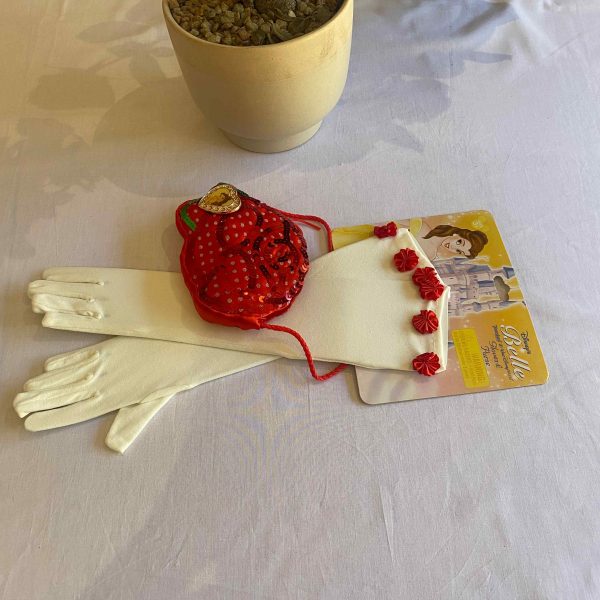 a pot of cactus and gloves on a table