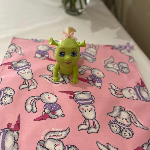 Shrek Crawling Baby with blanket